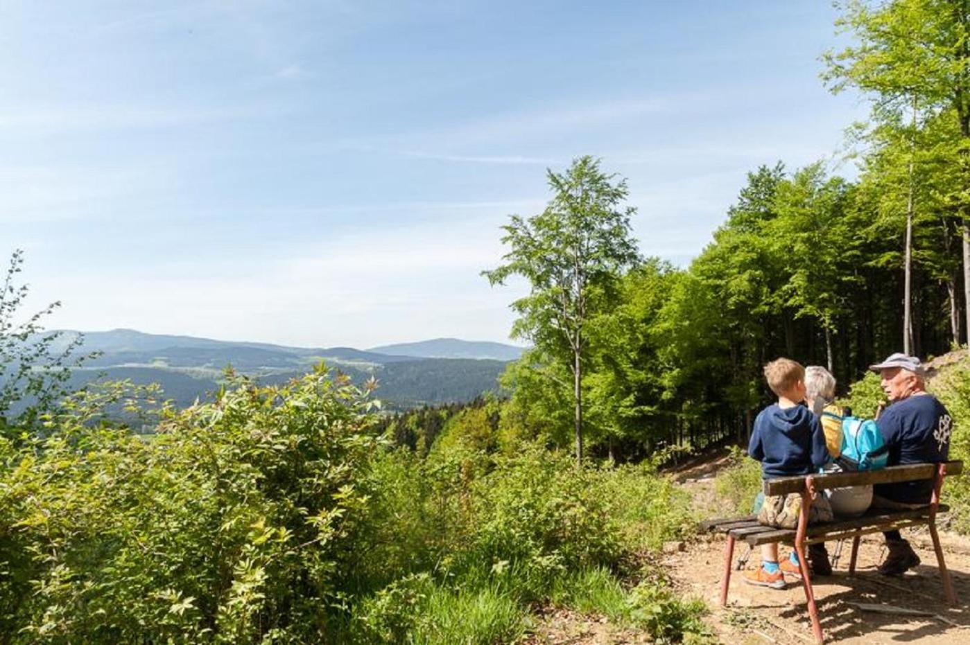 GutsAlm Harlachberg Bodenmais Exterior foto